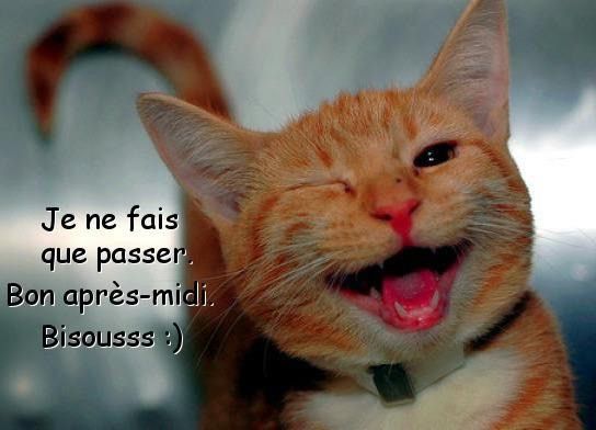 bon apres midi